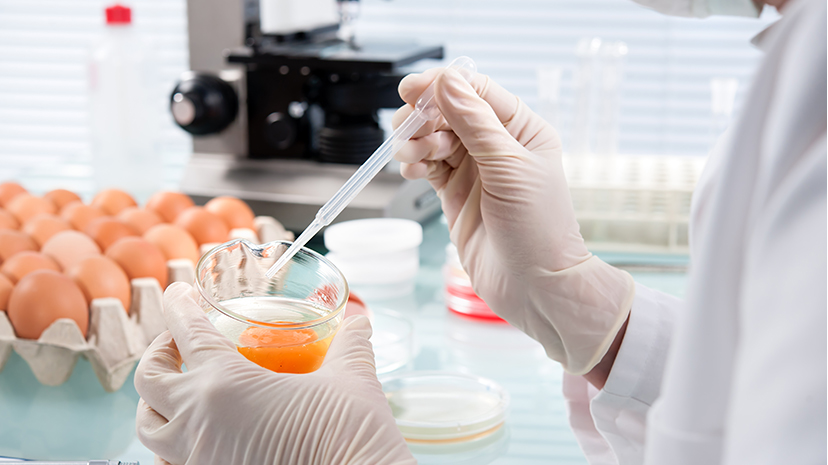 eieren fipronil afsca